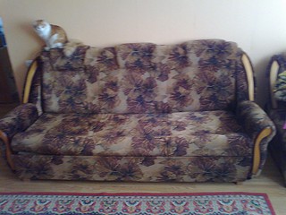 click for enlarge 1920 X 1440 570.8 Kb picture