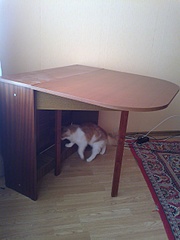 click for enlarge 1920 X 2560 225.4 Kb picture