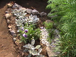 click for enlarge 640 X 480 217.2 Kb picture