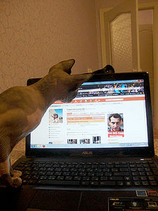 click for enlarge 360 X 480 39.4 Kb picture