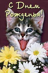 click for enlarge 300 X 452 37.4 Kb picture
