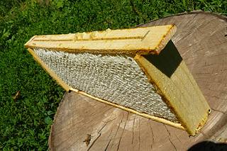 click for enlarge 1920 X 1280 416.4 Kb picture