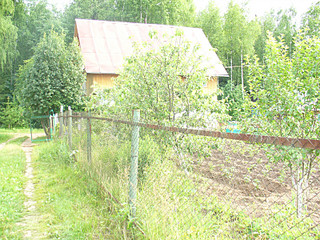 click for enlarge 800 X 600 279.8 Kb picture