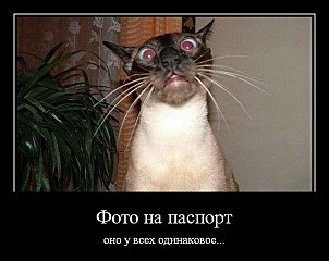 click for enlarge 604 X 480  48.1 Kb picture