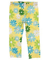 click for enlarge 255 X 320 18.2 Kb picture