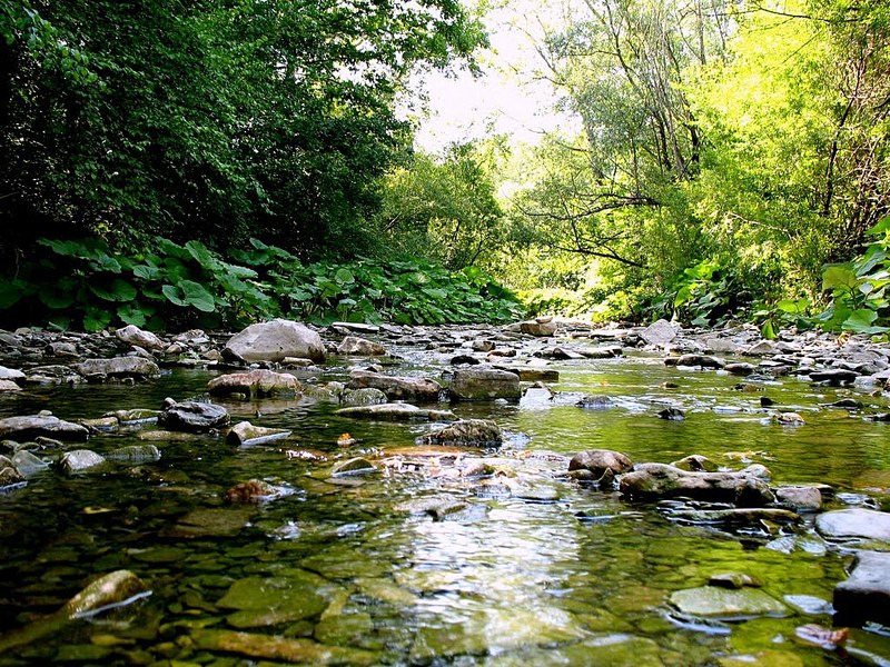 click for enlarge 1024 X 768 264.8 Kb picture