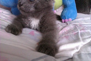 click for enlarge 1920 X 1280 366.5 Kb picture