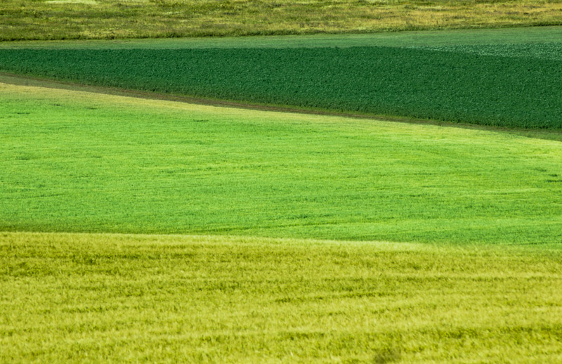 800 x 518