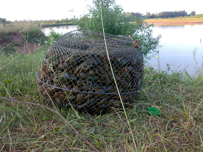 click for enlarge 1920 X 1440 798.2 Kb picture