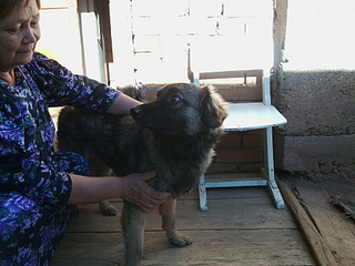 click for enlarge 1920 X 1440 786.8 Kb picture