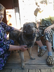 click for enlarge 1536 X 2048 949.8 Kb picture