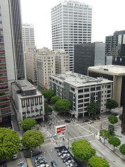 click for enlarge 1188 X 1584 298.8 Kb picture