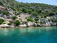 click for enlarge 1920 X 1440 444.1 Kb picture