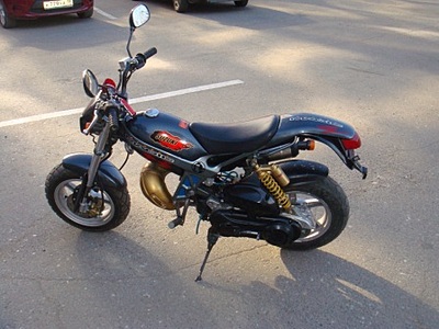 click for enlarge 448 X 336  70.5 Kb picture