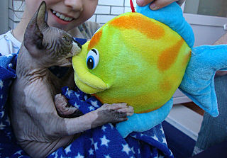 click for enlarge 640 X 446  62.4 Kb picture