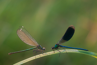 click for enlarge 1024 X 683 381.6 Kb picture