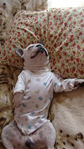 click for enlarge 576 X 1024 142.9 Kb picture