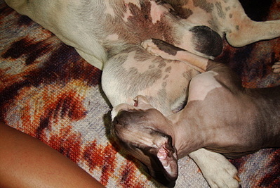 click for enlarge 1920 X 1282 953.3 Kb picture