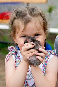 click for enlarge 1365 X 2048 671.0 Kb picture