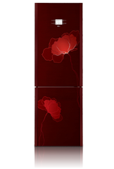 click for enlarge 335 X 495 92.1 Kb picture