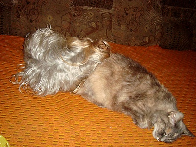 click for enlarge 1024 X 768 405.2 Kb picture