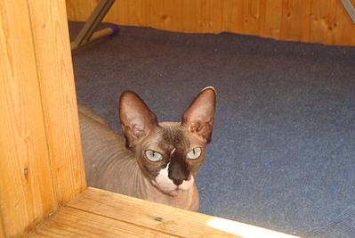 click for enlarge 1920 X 1282 837.7 Kb picture