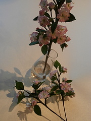 click for enlarge 600 X 800 134.0 Kb picture
