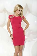 click for enlarge 466 X 700 16.9 Kb picture