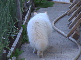 click for enlarge 640 X 480 142.3 Kb picture