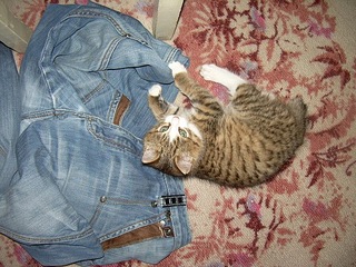 click for enlarge 604 X 453 119.9 Kb picture