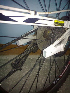 click for enlarge 1536 X 2048 735.1 Kb picture