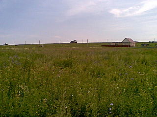 click for enlarge 640 X 480  54.3 Kb picture