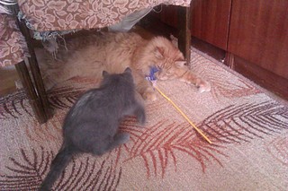 click for enlarge 1920 X 1280 543.6 Kb picture