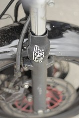 click for enlarge 510 X 768  57.6 Kb picture