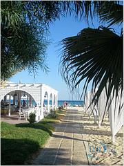 click for enlarge 525 X 700 91.3 Kb picture