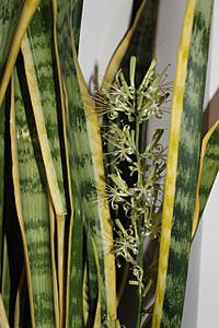 click for enlarge 855 X 1282 171.9 Kb picture