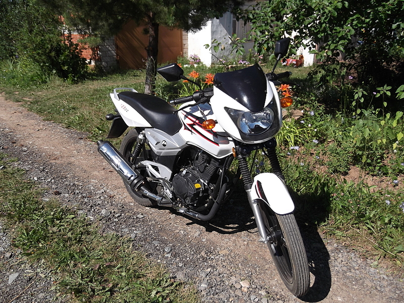 click for enlarge 1920 X 1440 496.1 Kb picture