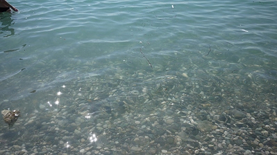 click for enlarge 1200 X 674 416.5 Kb picture