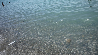 click for enlarge 1200 X 674 471.5 Kb picture