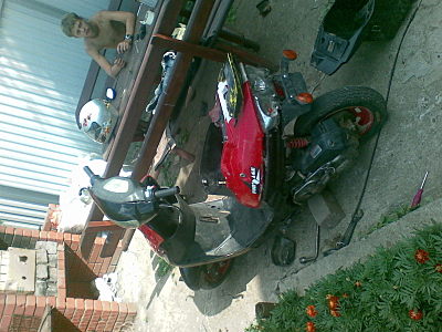 click for enlarge 1600 X 1200 332.9 Kb picture