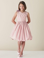 click for enlarge 600 X 800  42.3 Kb picture