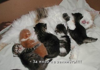 click for enlarge 604 X 427  47.1 Kb picture