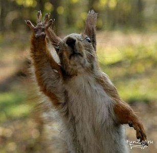 click for enlarge 400 X 390  25.7 Kb picture