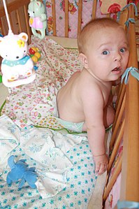 click for enlarge 402 X 604 59.5 Kb picture