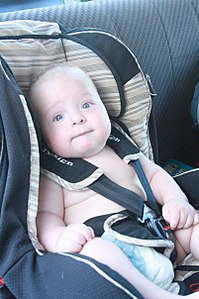 click for enlarge 402 X 604 55.3 Kb picture