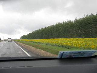 click for enlarge 1600 X 1200 611.2 Kb picture
