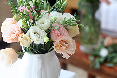 click for enlarge 800 X 534 213.9 Kb picture