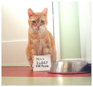 click for enlarge 500 X 472  53.5 Kb picture