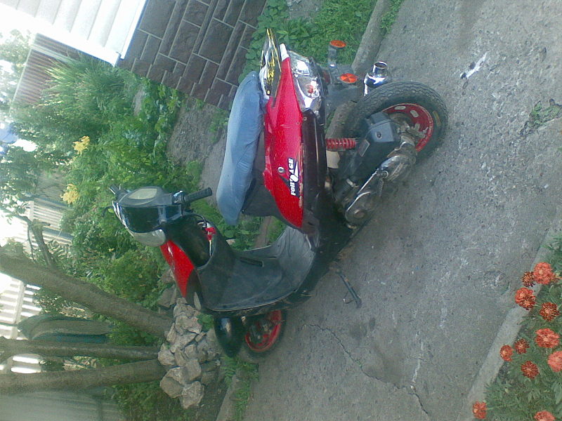 click for enlarge 1600 X 1200 337.6 Kb picture