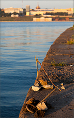 click for enlarge 1782 X 2832 375.4 Kb picture